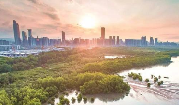 国网大学“云课堂”推出系列“春节知识大礼包”